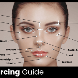 Face Piercing 2024 Guide: Cost, Pain Level, and Placement Options ...