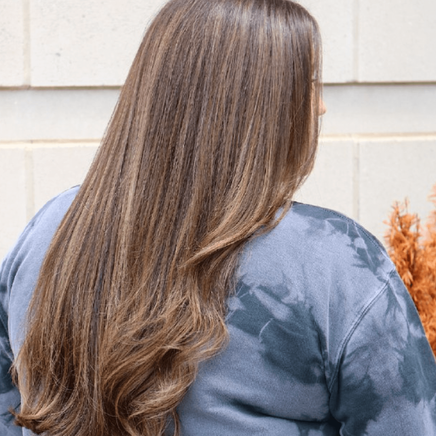 Long Brown Hair With Blonde Highlights