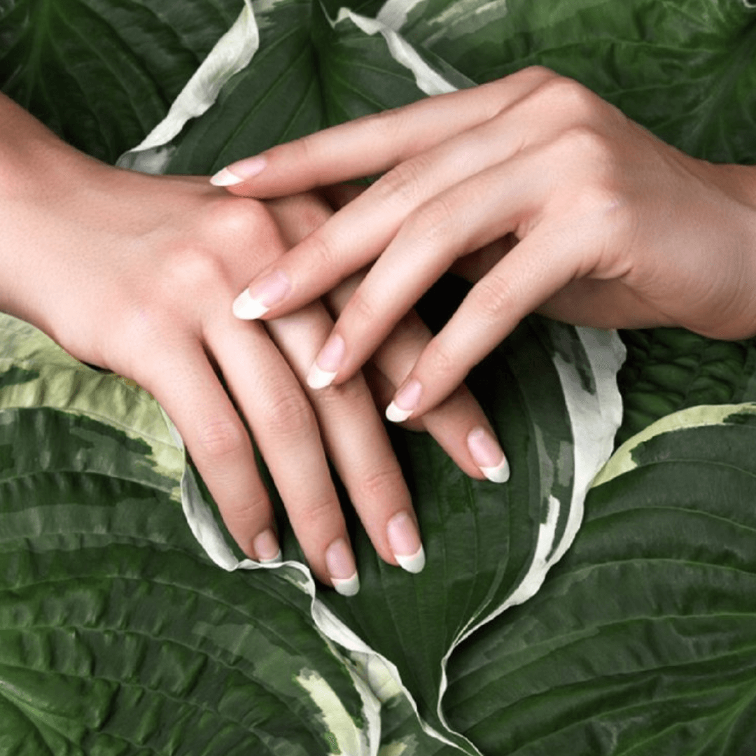 French Tip Almond Nails  Design