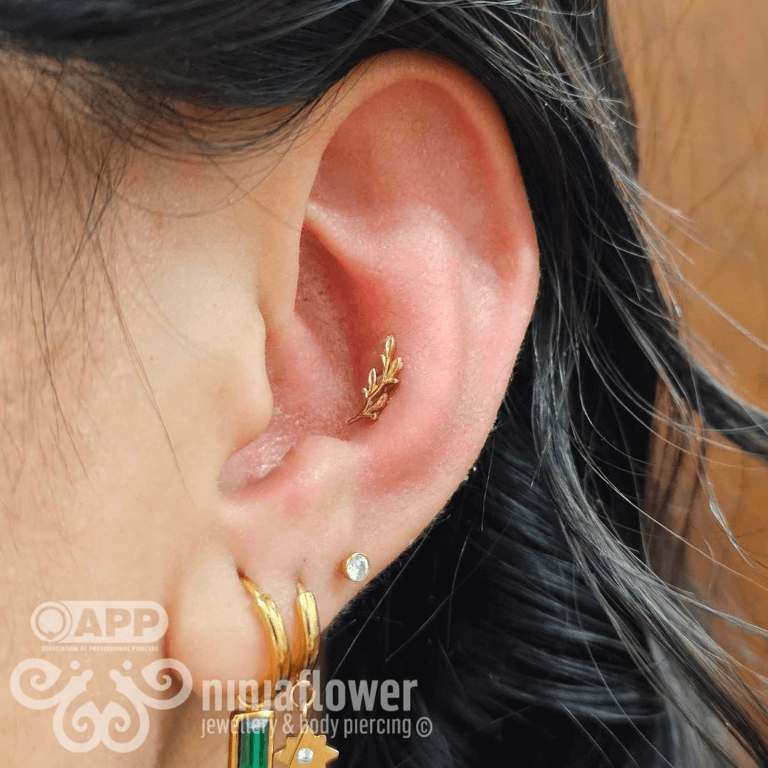 types-of-ear-piercing-conch-piercing