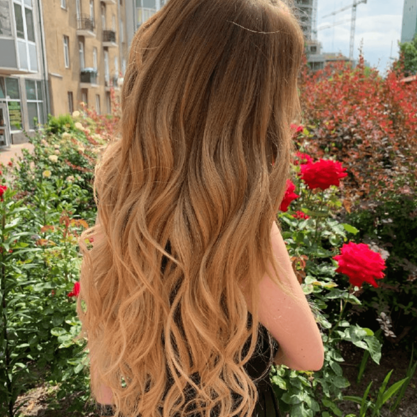 Czerwony Blond Ombre