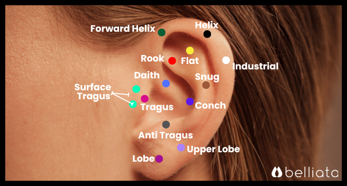 Ear piercing chart