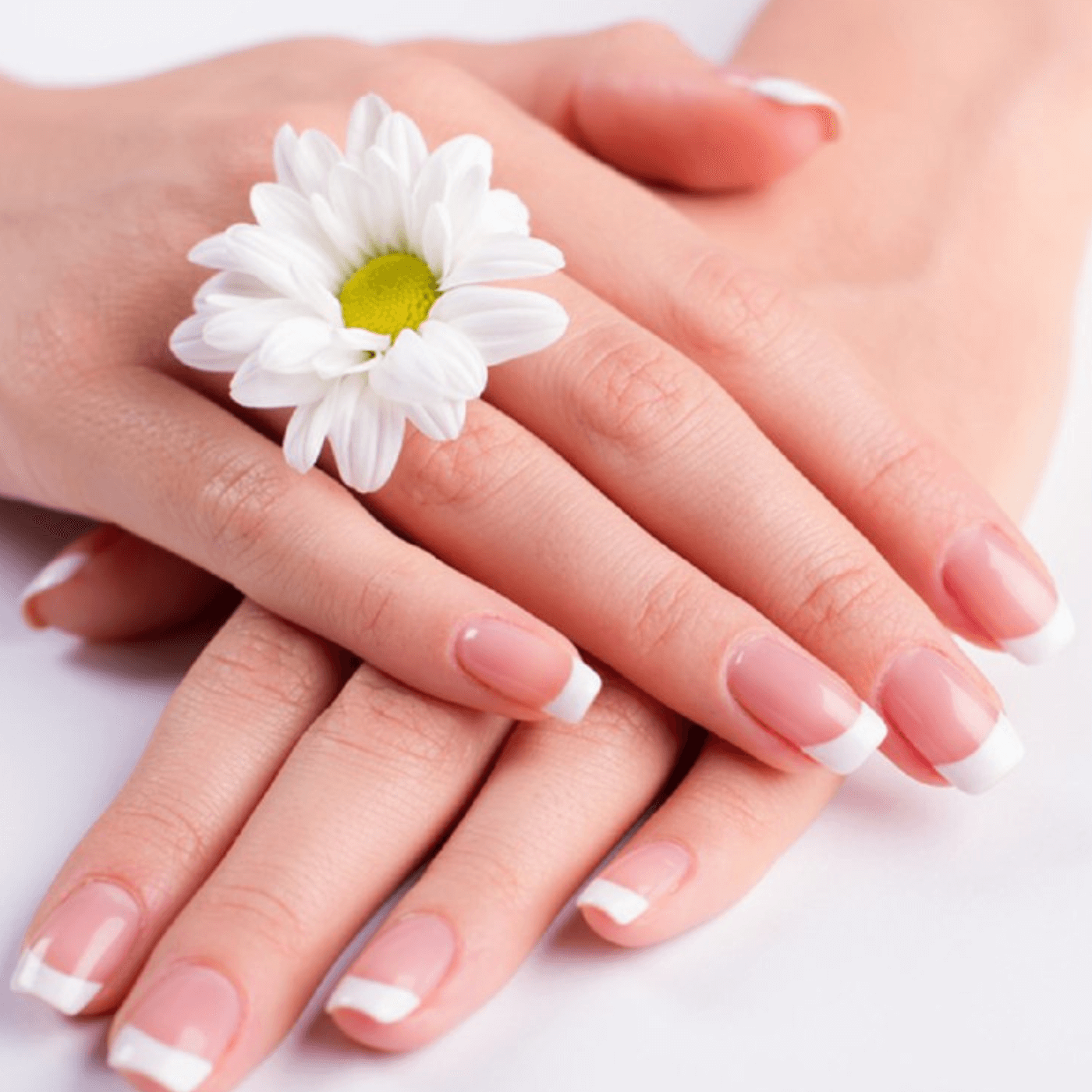 Classic Nude French Manicure Nail Designs